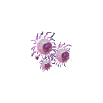 final fantasy iv ds enemy lunar virus