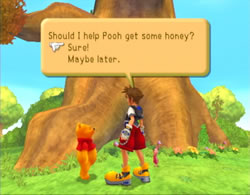 kingdom hearts 100 acre wood