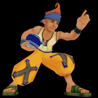 kingdom hearts character wakka